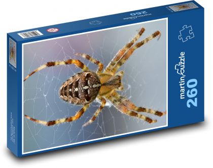Pavouk - zvíře, pavučina - Puzzle 260 dílků, rozměr 41x28,7 cm