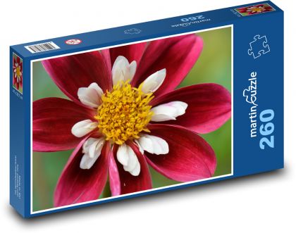 Červené juřiny - Puzzle 260 dielikov, rozmer 41x28,7 cm