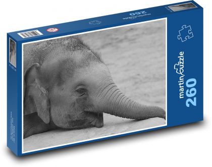 Slon - zvíře, Afrika - Puzzle 260 dílků, rozměr 41x28,7 cm