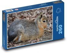 Zajac - patagónsky, hlodavec Puzzle 260 dielikov - 41 x 28,7 cm