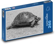 Želva - zvíře, plaz Puzzle 260 dílků - 41 x 28,7 cm