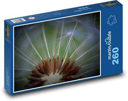Pampeliška - květ, chmýří - Puzzle 260 dílků, rozměr 41x28,7 cm