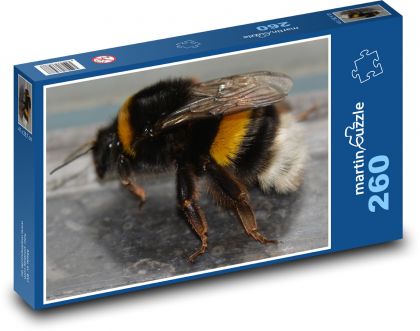 Trzmiel - zwierzę, natura - Puzzle 260 elementów, rozmiar 41x28,7 cm