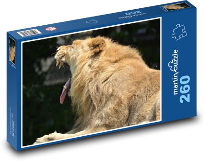 Lion, predator, animal - Puzzle 260 pieces, size 41x28.7 cm 