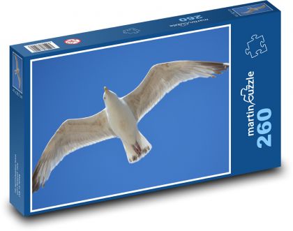 Seagull - animal, wings - Puzzle 260 pieces, size 41x28.7 cm 