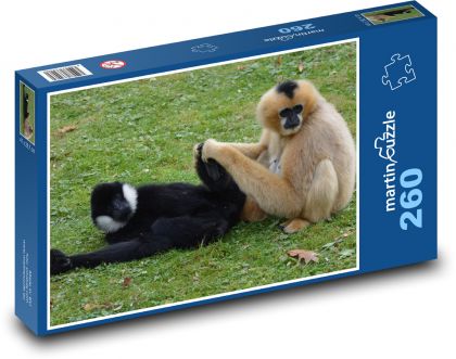 Małpa - gibon, zwierzę - Puzzle 260 elementów, rozmiar 41x28,7 cm