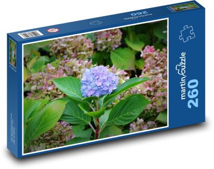 Hortensie - Blume, Natur - Puzzle - 260 Teile