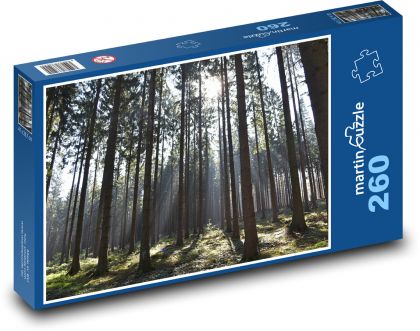 Les - příroda, stromy - Puzzle 260 dílků, rozměr 41x28,7 cm