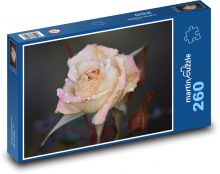 Růže - květ, příroda Puzzle 260 - 41x28,7 cm