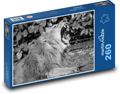 Lion - male, animal - Puzzle 260 pieces, size 41x28.7 cm 