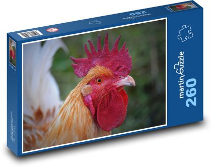 Kohout - drůbež, zvíře - Puzzle 260 dílků, rozměr 41x28,7 cm