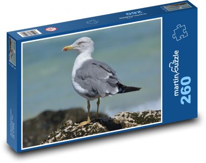 Seagull - sea, nature - Puzzle 260 pieces, size 41x28.7 cm 