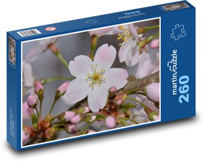 Kvet - príroda, strom - Puzzle 260 dielikov, rozmer 41x28,7 cm