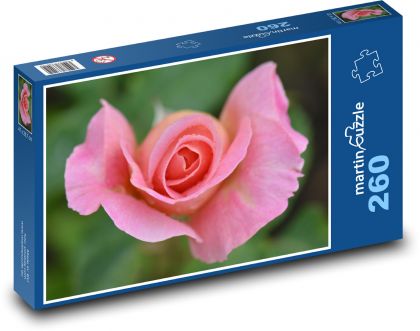 Růže - květ, růžová - Puzzle 260 dílků, rozměr 41x28,7 cm