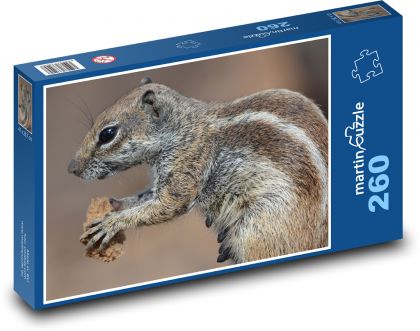 Squirrel - food, animal - Puzzle 260 pieces, size 41x28.7 cm 