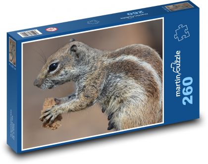 Veverka - jídlo, zvíře - Puzzle 260 dílků, rozměr 41x28,7 cm