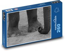 Slon - zvíře, savec Puzzle 260 dílků - 41 x 28,7 cm