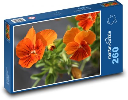 Pansies - orange, garden - Puzzle 260 pieces, size 41x28.7 cm 