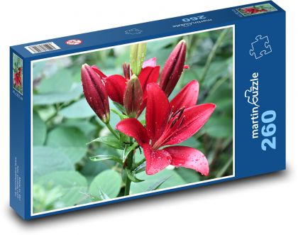 Ľalia - červená, rosa - Puzzle 260 dielikov, rozmer 41x28,7 cm