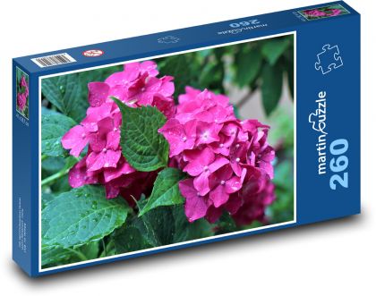 Hortenzia - ružová, rosa - Puzzle 260 dielikov, rozmer 41x28,7 cm