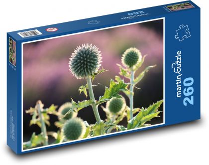 Bodliak - kvet, rastlina - Puzzle 260 dielikov, rozmer 41x28,7 cm