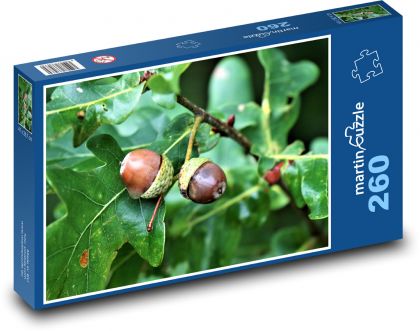 Oak - acorns, tree - Puzzle 260 pieces, size 41x28.7 cm 