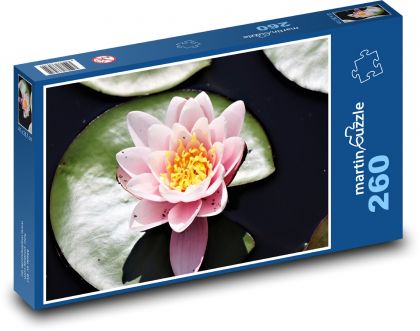 Water lily - pink flower - Puzzle 260 pieces, size 41x28.7 cm 