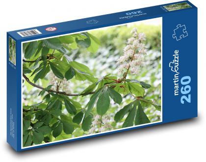 Kaštan - květ, strom - puzzle 260 dílků