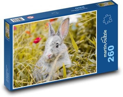 Królik - ssak, zwierzę - Puzzle 260 elementów, rozmiar 41x28,7 cm