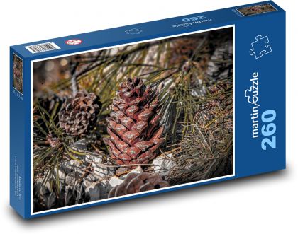 Šiška borovice - Puzzle 260 dielikov, rozmer 41x28,7 cm