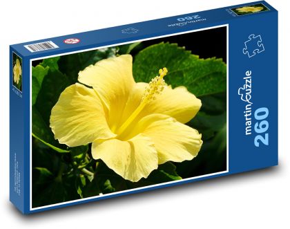 Ibišek - žlutý květ - puzzle 260 dílků