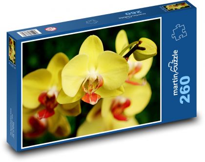 Orchidej - žlutý květ - Puzzle 260 dílků, rozměr 41x28,7 cm
