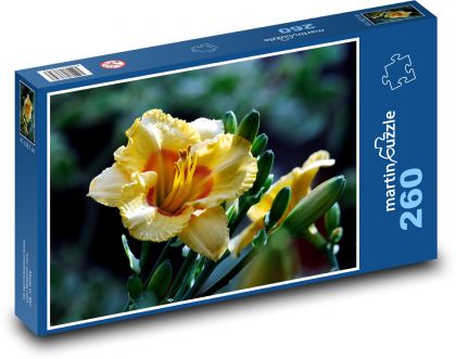 Lilie - květ, lístky - Puzzle 260 dílků, rozměr 41x28,7 cm