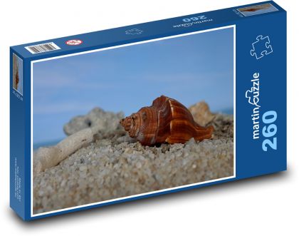Muschel am Strand - Puzzle - 260 Teile