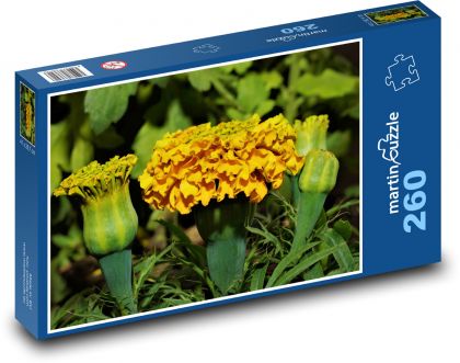 Flower - American marigold - Puzzle 260 pieces, size 41x28.7 cm 