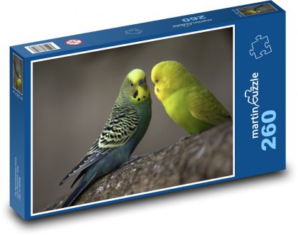Wellensittich - Vögel, Tiere - Puzzle - 260 Teile