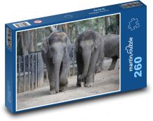 Slony v Indii Puzzle 260 dielikov - 41 x 28,7 cm