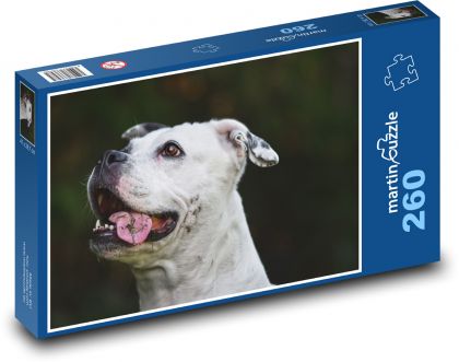 White dog with tongue out - Puzzle 260 pieces, size 41x28.7 cm 
