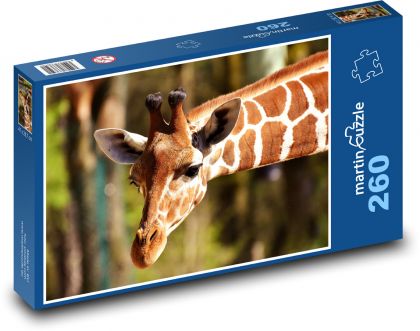 Giraffe - langer Hals, Zoo - Puzzle - 260 Teile