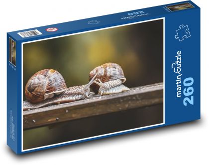 Slimák - ulita, ulitník - Puzzle 260 dielikov, rozmer 41x28,7 cm