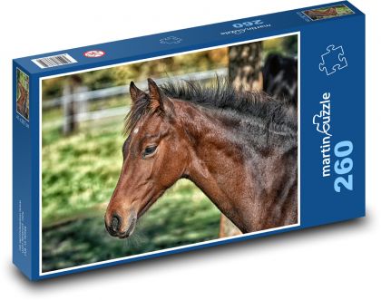 Kôň - žriebä, zviera - Puzzle 260 dielikov, rozmer 41x28,7 cm