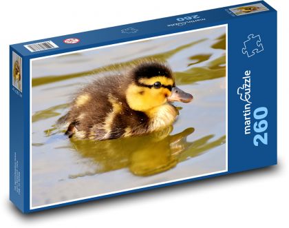 Duckling - water bird - Puzzle 260 pieces, size 41x28.7 cm 