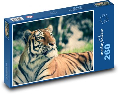 Tiger usurijský - divoká zver - Puzzle 260 dielikov, rozmer 41x28,7 cm