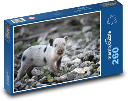 Ferkel, Ferkel, Schwein - Puzzle - 260 Teile