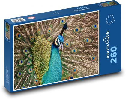 Páv - pávice, pták - Puzzle 260 dílků, rozměr 41x28,7 cm