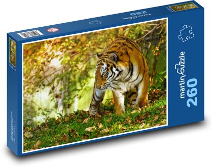 Tygr - dravec, kočka - Puzzle 260 dílků, rozměr 41x28,7 cm