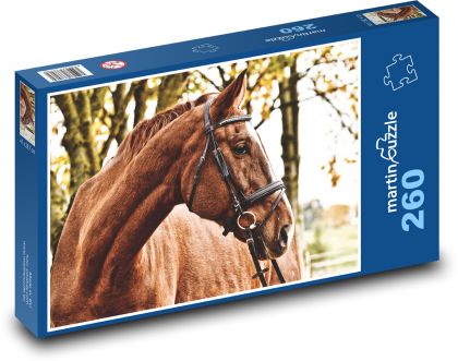 Kůň - hřebec, savec - Puzzle 260 dílků, rozměr 41x28,7 cm