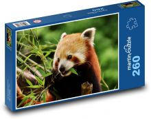 Mládě pandy červené Puzzle 260 - 41x28,7 cm