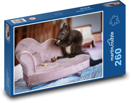 Veverka - mládě, hlodavec - Puzzle 260 dílků, rozměr 41x28,7 cm