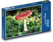 Muchomor - trujący grzyb Puzzle 260 elementów - 41x28,7 cm